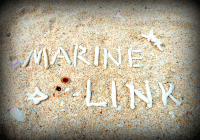 MARINE LINK FOR DIVERS
